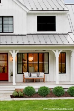 Korean Dwarf Boxwood - Buxus Sinica Var. Insularis 'Nana' - 6 Pack Of 1 Gallon Pots -Wilson Bros Gardens Boxwood Korean Dwarf Insularis Nana 4