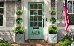 Green Mountain Boxwood 3-Ball Poodle Tier Topiary - 6 Gallon Pot 9 Green Mountain Boxwood 3-Ball Poodle Tier Topiary - 6 Gallon Pot -Wilson Bros Gardens buxus green mountain 3 ball topiary 20